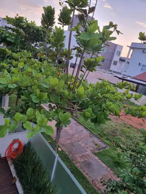 A planta de Apto amplo e confortável