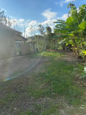 Um jardim no exterior de Bombinhas, Casa mobiliada 1 quarto