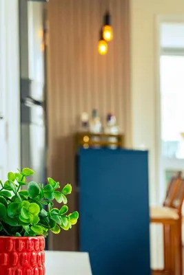 A planta de 184 - Apartamento Praia de Mariscal