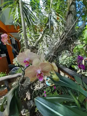 Um jardim no exterior de Stúdio Natureza S/A 1