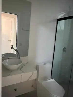 A planta de Ilumini