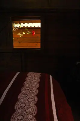 Uma televisão e/ou sistema de entretenimento em Valhalla Glamping House