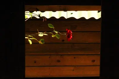 A planta de Valhalla Glamping House