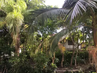 Um jardim no exterior de Apartamento aconchego.