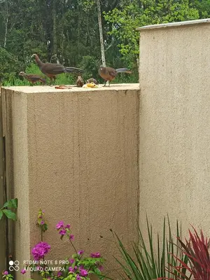 A planta de Casa Esmeralda duplex NOVA com piscina em Bombinhas, Mariscal