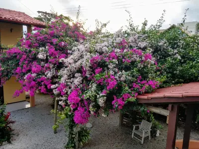 Um jardim no exterior de Residencial Portal do Sol
