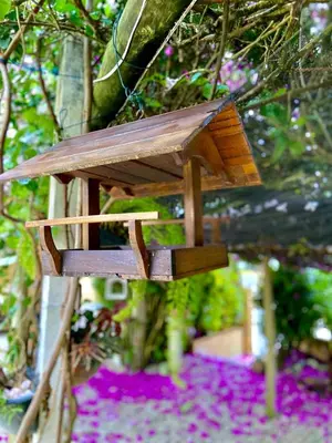 Um jardim no exterior de Residencial Portal do Sol