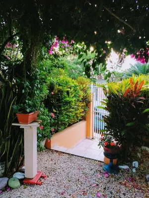 Um jardim no exterior de Residencial Portal do Sol