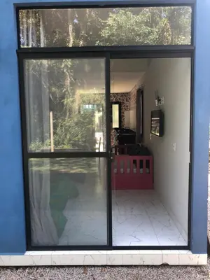 A planta de Saracura