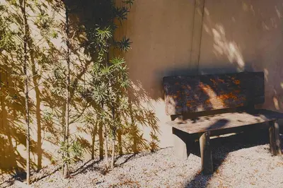 A planta de aconchegante casa de praia