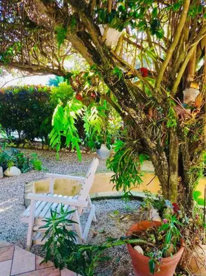 Um jardim no exterior de 6 - Apartamento de 02 quartos com jacuzzi em Bombas