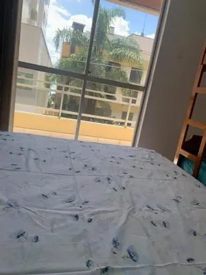 A planta de Férias, Família, Praia Sol e Mar
