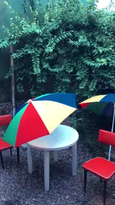 Um jardim no exterior de INDISPONÍVEll