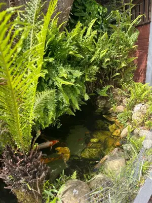 A planta de Casa do Lago