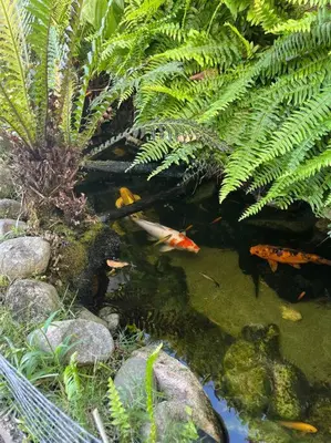A planta de Casa do Lago