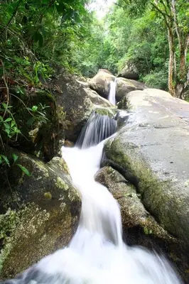 Paisagem natural perto do apartamento
