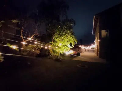 Um jardim no exterior de Casa Nativa BC