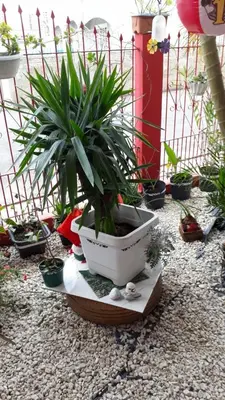 Um jardim no exterior de Casa Confortável , espaçosa, proximo da praia