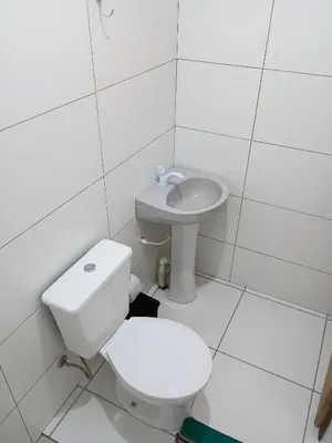 A planta de Kitnet bananeira