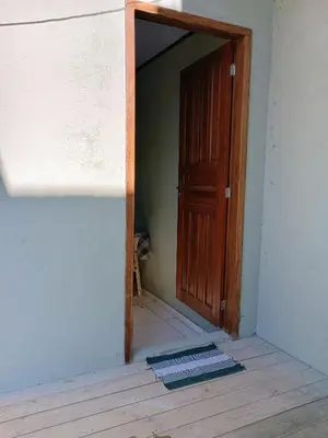 A planta de Kitnet bananeira