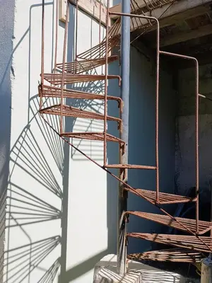 A planta de Kitnet bananeira