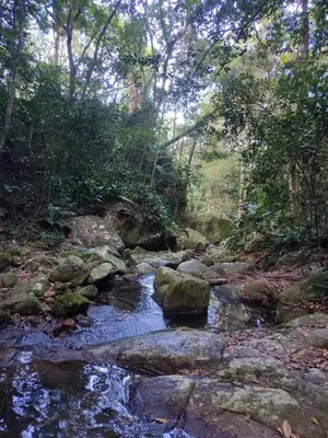 Paisagem natural perto do apartamento