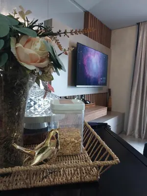 Uma televisão e/ou sistema de entretenimento em Casa luxo em BC, próximo a Greenvalley