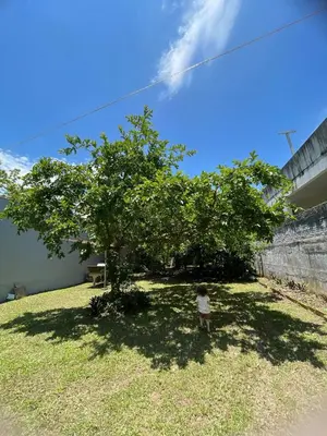 Um jardim no exterior de Casa espaçosa a 100m do mar