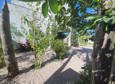 Um jardim no exterior de Casa Entre Verde e Mar Praia do Mariscal