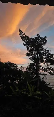 Paisagem natural perto do apartamento