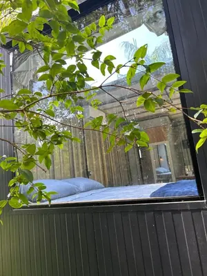 A planta de Tree House