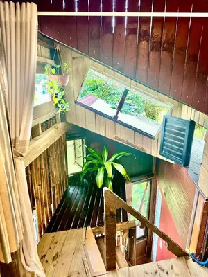 A planta de Chalé cabana da mata