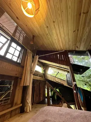A planta de Chalé cabana da mata