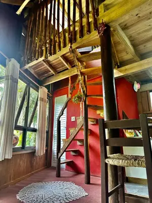 A planta de Chalé cabana da mata