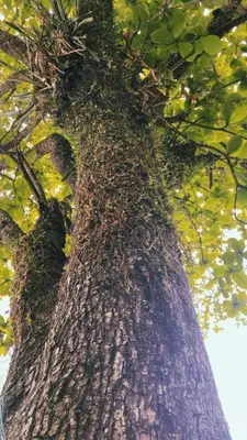 Paisagem natural perto da casa de hóspedes