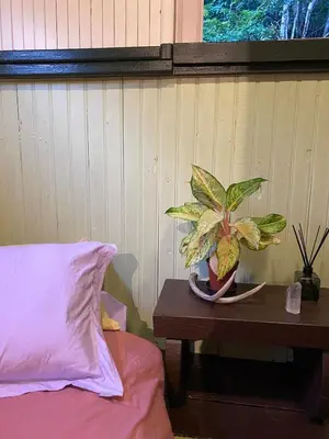 Uma cama ou camas num quarto em Rainforest Retreat Home and Waterfall