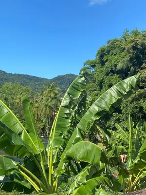 Paisagem natural perto da casa de férias