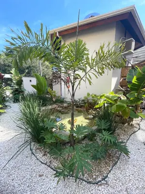 Um jardim no exterior de Refúgio perto do mar em Mariscal - Baoba Suites