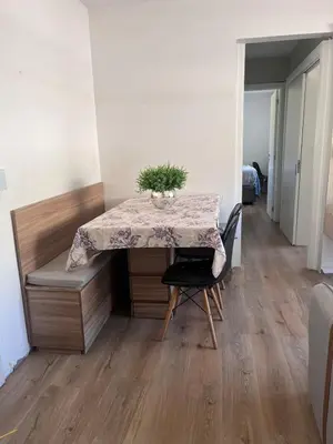 A planta de Aroeira Ap