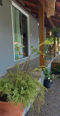 Um jardim no exterior de Casa para descanso