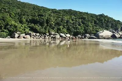 Paisagem natural perto do apartamento