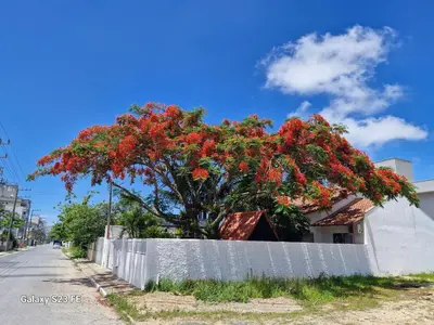 A planta de Chalé Ecológico para 2 pessoas