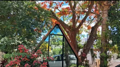 Um jardim no exterior de Chalé Ecológico para 2 pessoas