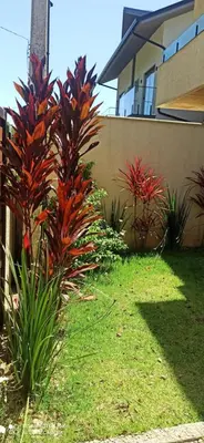 A planta de Casa Jade e Esmeralda NOVA com 2 piscinas em Mariscal, Bombinhas