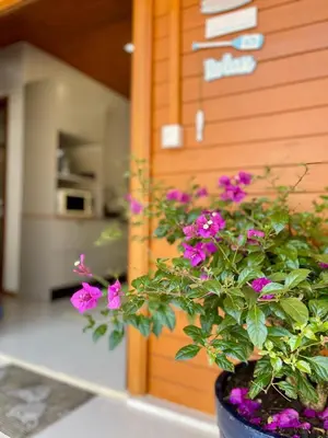 A planta de Suíte Recanto Praia das Vieiras