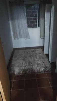 A planta de Alberto