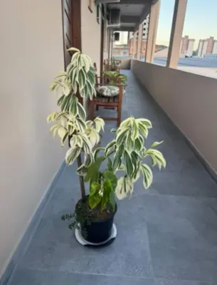 A planta de Residencial lara 101