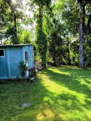 Um jardim no exterior de Recanto Aurora de Bombinhas