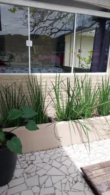 Um jardim no exterior de Casa centro