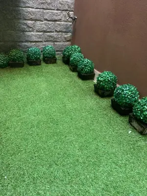 Um jardim no exterior de Casa 1 Encanto dos Mares
